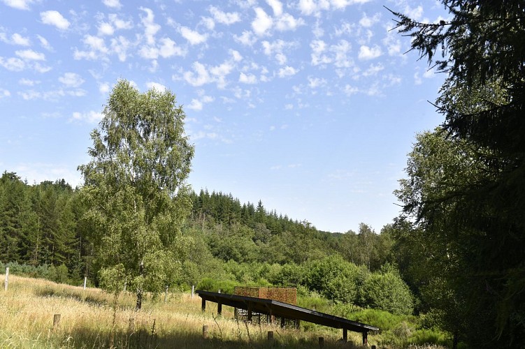 Promenade-les-vois-dantan©MTFSH TEXTO Pascal Willems (55)