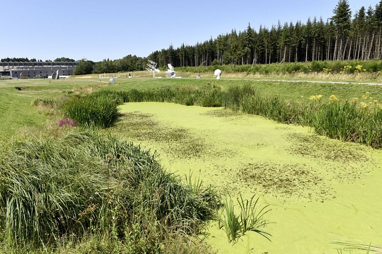 Promenade-les-vois-dantan©MTFSH TEXTO Pascal Willems (62)