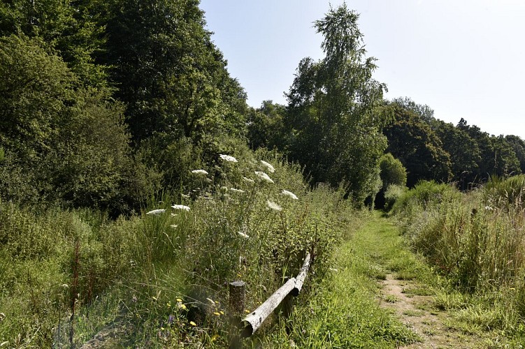 Promenade-les-vois-dantan©MTFSH TEXTO Pascal Willems (1)