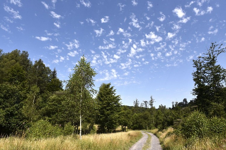 Promenade-les-vois-dantan©MTFSH TEXTO Pascal Willems (12)