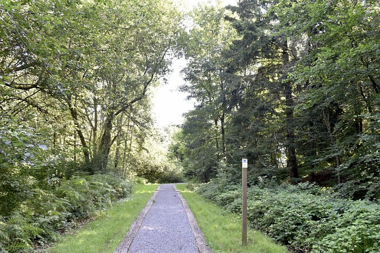 Promenade-les-vois-dantan©MTFSH TEXTO Pascal Willems (97)