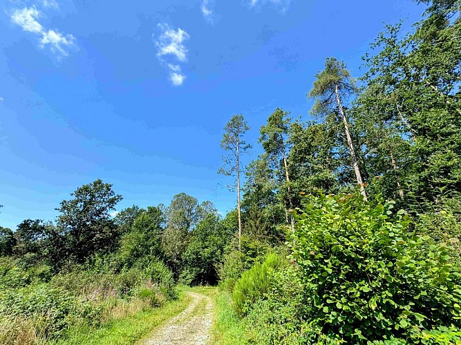 Promenade-des-ponts©MTFSH_TEXTO_Pascal_Willems_(71)