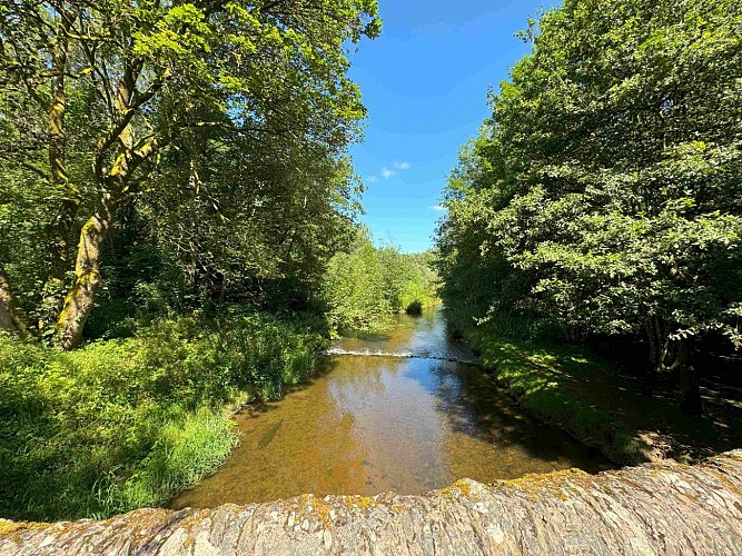 Promenade-des-ponts©MTFSH_TEXTO_Pascal_Willems_(102)