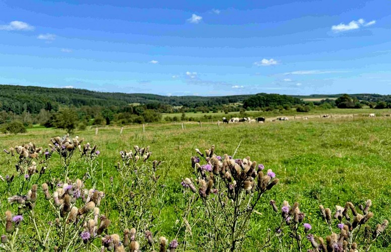 Promenade-des-ponts©MTFSH_TEXTO_Pascal_Willems_(109)