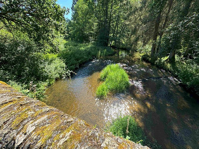 Promenade-des-ponts©MTFSH_TEXTO_Pascal_Willems_(26)