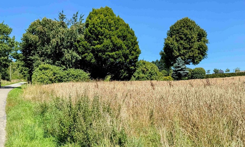 Tenneville_promenade_de_la_basseille©MTFSH-TEXTO_Pascal_Willems_(87)