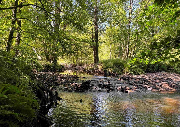 Tenneville_promenade_de_la_basseille©MTFSH-TEXTO_Pascal_Willems_(83)