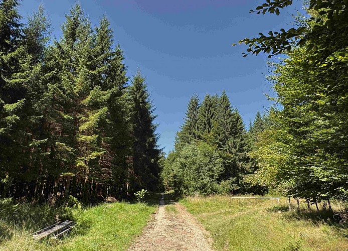 Tenneville_promenade_de_la_basseille©MTFSH-TEXTO_Pascal_Willems_(92)