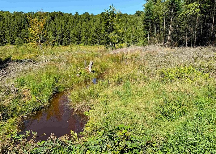 Tenneville_promenade_de_la_basseille©MTFSH-TEXTO_Pascal_Willems_(47)
