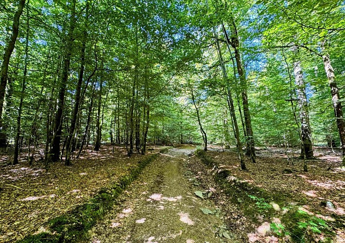 Tenneville_promenade_de_la_basseille©MTFSH-TEXTO_Pascal_Willems_(57)