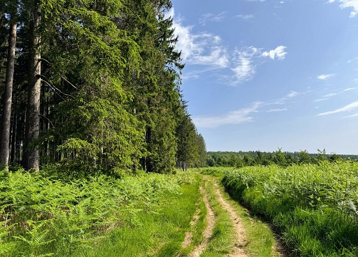 Libin_promenade_des_troufferies©MTFSH-TEXTO_Pascal_Willems_(50)