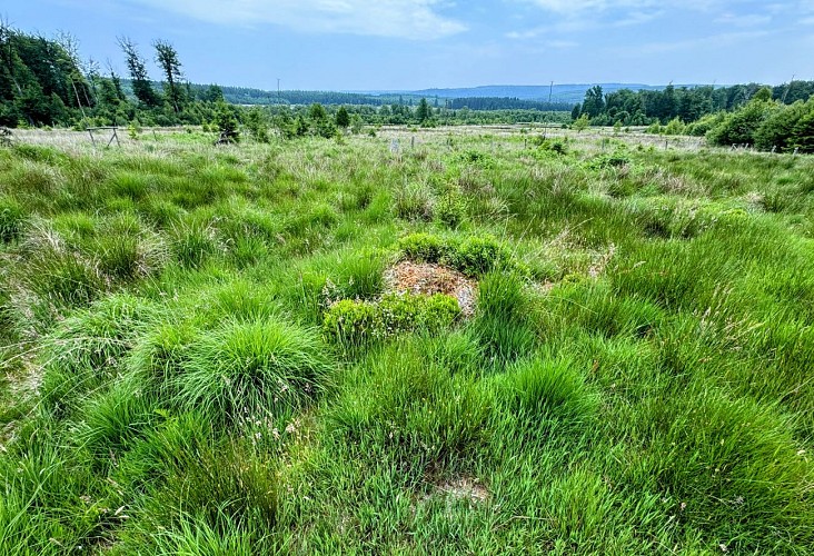 Libin_promenade_des_troufferies©MTFSH-TEXTO_Pascal_Willems_(80)