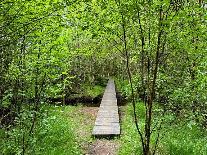 Libin_promenade_des_troufferies©MTFSH-TEXTO_Pascal_Willems_(2)