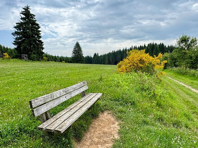 Libin_promenade_des_troufferies©MTFSH-TEXTO_Pascal_Willems_(87)