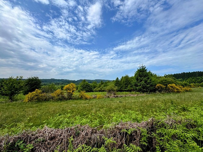 Libin_promenade_des_troufferies©MTFSH-TEXTO_Pascal_Willems_(70)