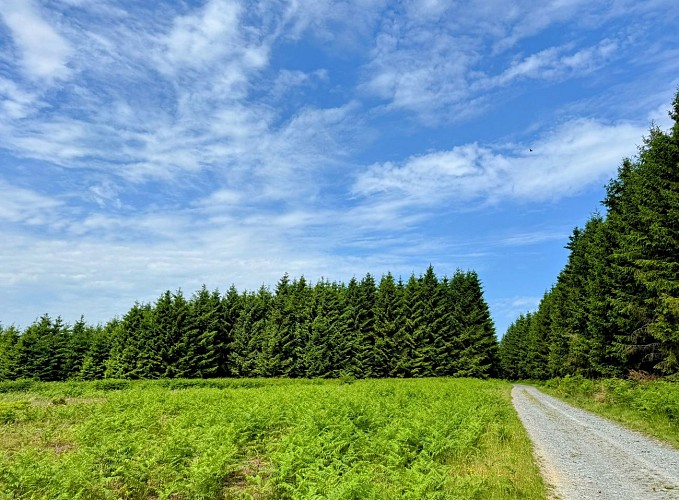 Libin_promenade_des_troufferies©MTFSH-TEXTO_Pascal_Willems_(35)
