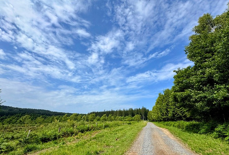 Libin_promenade_des_troufferies©MTFSH-TEXTO_Pascal_Willems_(12)