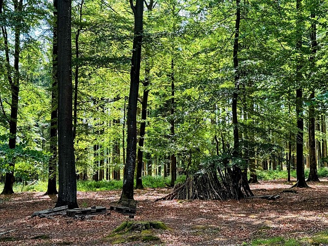 Libin_promenade_des_troufferies©MTFSH-TEXTO_Pascal_Willems_(27)