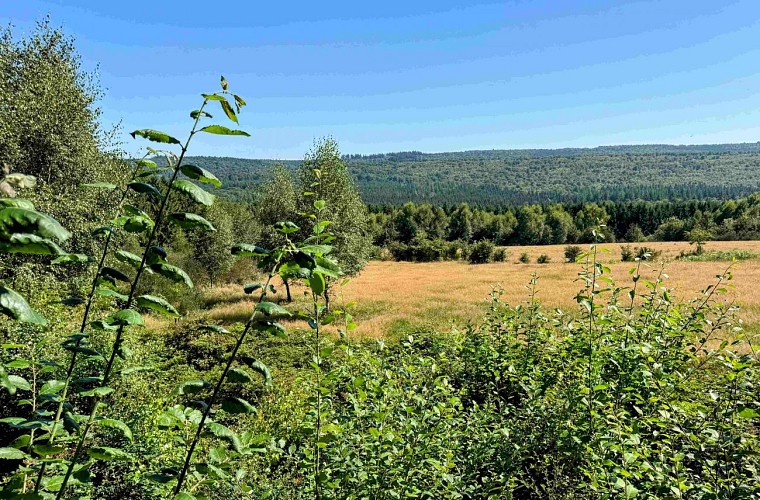 Tenneville_promenade_de_la_converserie©MTFSH-TEXTO_Pascal_Willems_(12)