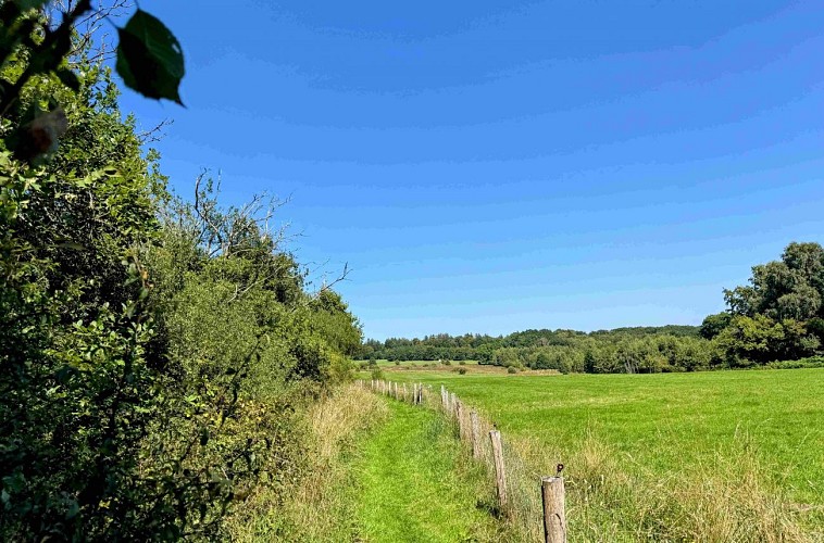 Tenneville_promenade_de_la_converserie©MTFSH-TEXTO_Pascal_Willems_(29)