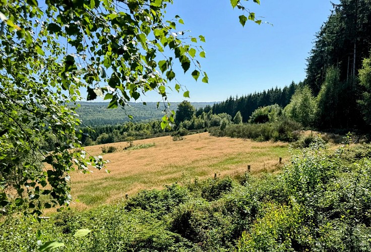 Tenneville_promenade_de_la_converserie©MTFSH-TEXTO_Pascal_Willems_(35)