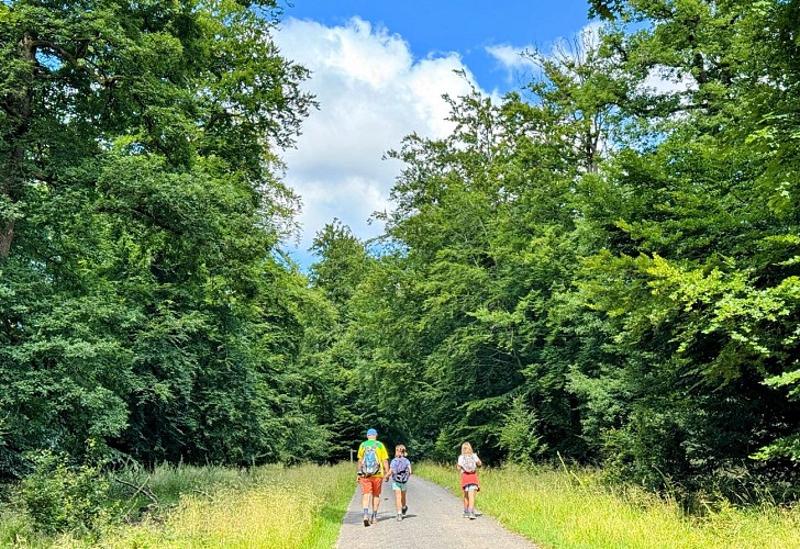 Sainthubert_VTT_La_Masblette©MTFSH-TEXTO_Pascal_Willems_(299)