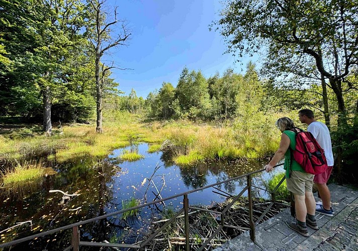 Tenneville_promenade_de_mochamps©MTFSH-TEXTO_Pascal_Willems_(86)