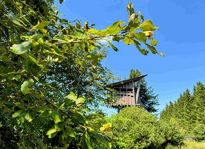 Tenneville_promenade_de_mochamps©MTFSH-TEXTO_Pascal_Willems_(73)