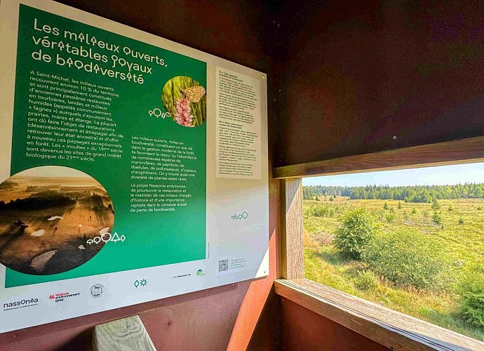 Tenneville_promenade_de_mochamps©MTFSH-TEXTO_Pascal_Willems_(69)