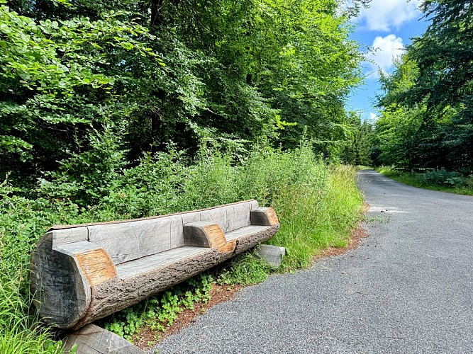 Sainthubert_VTT_La_Masblette©MTFSH-TEXTO_Pascal_Willems_(215)