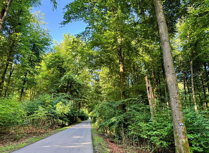 Libin_balade_du_bourgmestre©MTFSH-TEXTO_Pascal_Willems_(40)