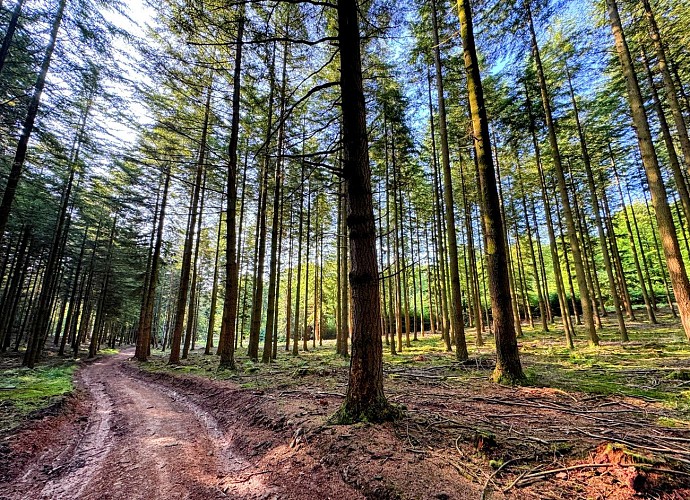 Libin_balade_du_bourgmestre©MTFSH-TEXTO_Pascal_Willems_(77)