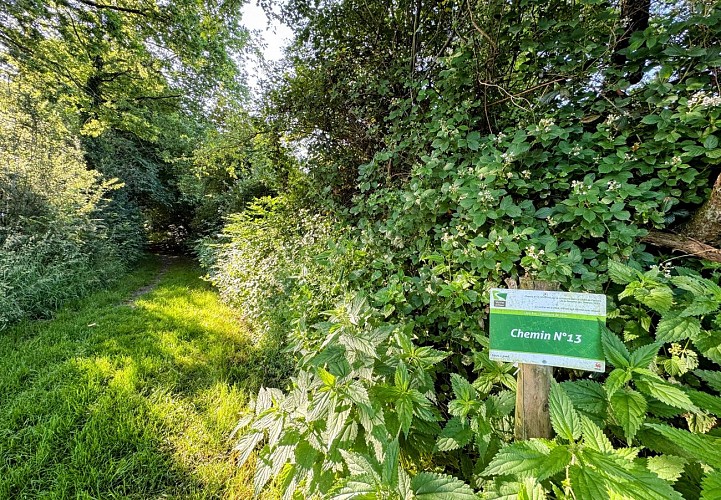 Libin_balade_du_bourgmestre©MTFSH-TEXTO_Pascal_Willems_(24)