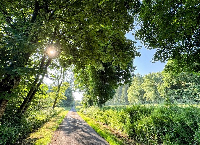 Libin_balade_du_bourgmestre©MTFSH-TEXTO_Pascal_Willems_(1)