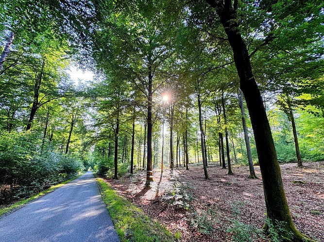 Libin_balade_du_bourgmestre©MTFSH-TEXTO_Pascal_Willems_(56)