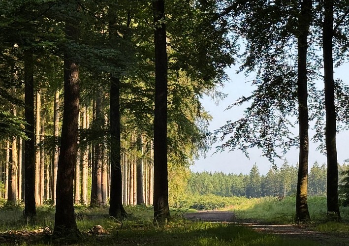 Libin_balade_du_bourgmestre©MTFSH-TEXTO_Pascal_Willems_(18)