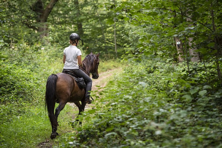 ©dbcreation-MTFSH (51)