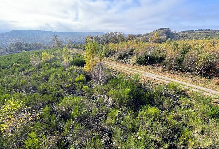 Equestre-cestmonpointdevue©MTFSH-TEXTO_Pascal_Willems_(9)