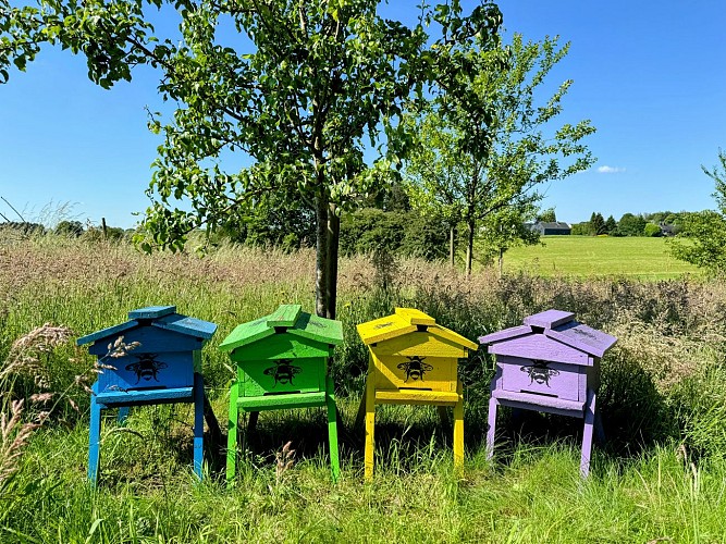 Promenade-voie-saint-andre©MTFSH TEXTO Pascal Willems (585)