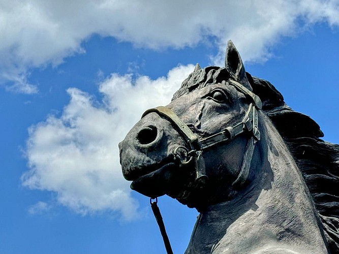 Promenade-voie-saint-andre©MTFSH TEXTO Pascal Willems (835)