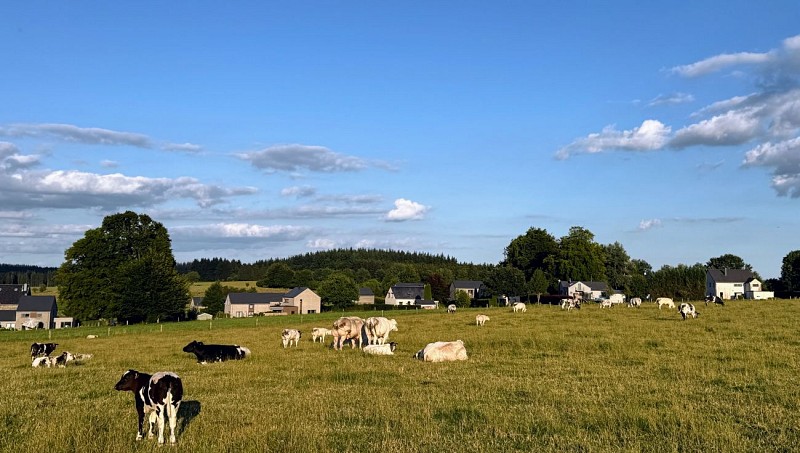 Libramont_promenade_de_la_Croisette©MTFSH-TEXTO_Pascal_Willems_(18)
