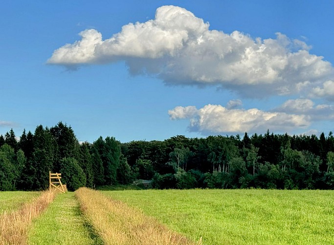 Libramont_promenade_de_la_Croisette©MTFSH-TEXTO_Pascal_Willems_(9)