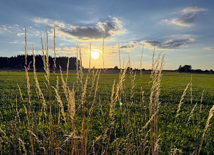 Libramont_promenade_de_la_Croisette©MTFSH-TEXTO_Pascal_Willems_(25)