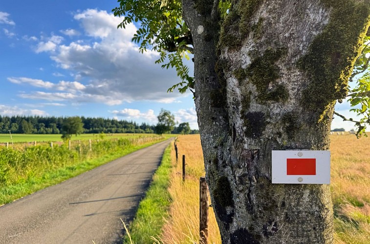 Libramont_promenade_de_la_Croisette©MTFSH-TEXTO_Pascal_Willems_(72)