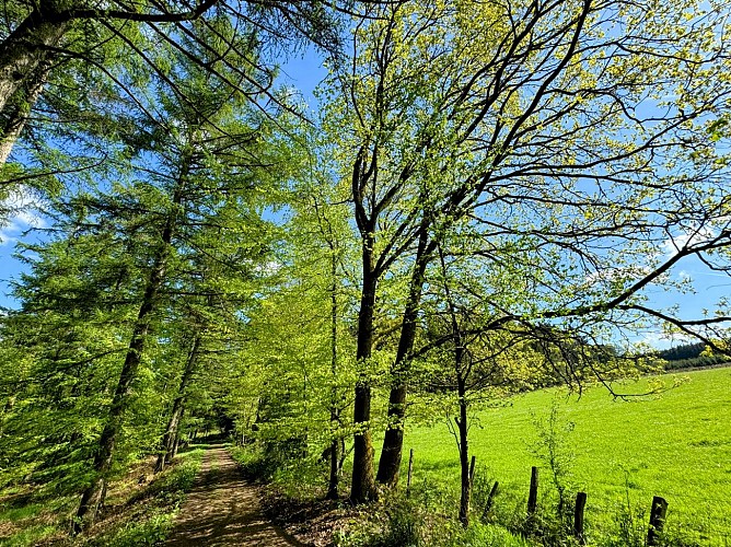 Promenade-les-gottes-sainthubert©MTFSH TEXTO Pascal Willems (146)