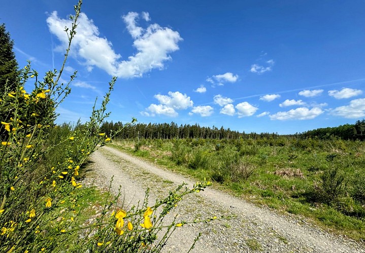 Promenade-les-gottes-sainthubert©MTFSH TEXTO Pascal Willems (115)