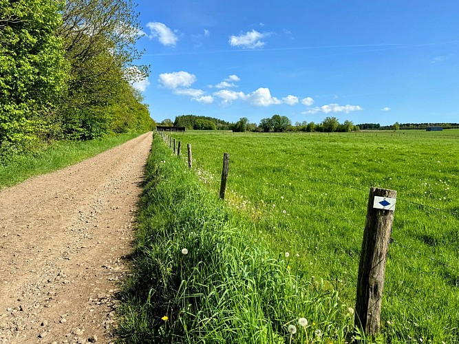 Promenade-les-gottes-sainthubert©MTFSH TEXTO Pascal Willems (187)