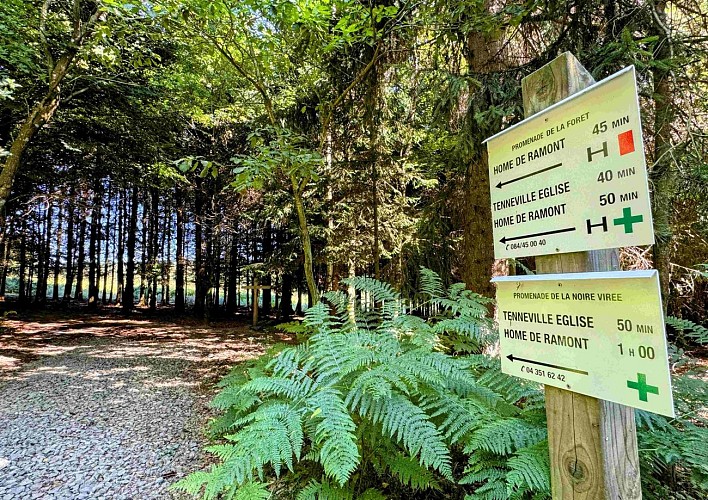 Tenneville_promenade_de_la_foret©MTFSH-TEXTO_Pascal_Willems_(2)