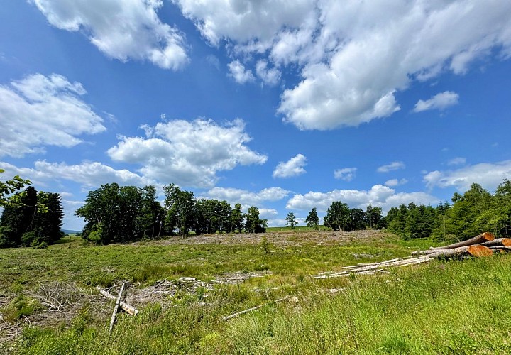 Sainthubert_monument_roi_albert©MTFSH_TEXTO_Pascal_Willems_(19)