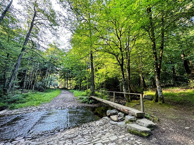 Sainthubert_monument_roi_albert©MTFSH_TEXTO_Pascal_Willems_(70)